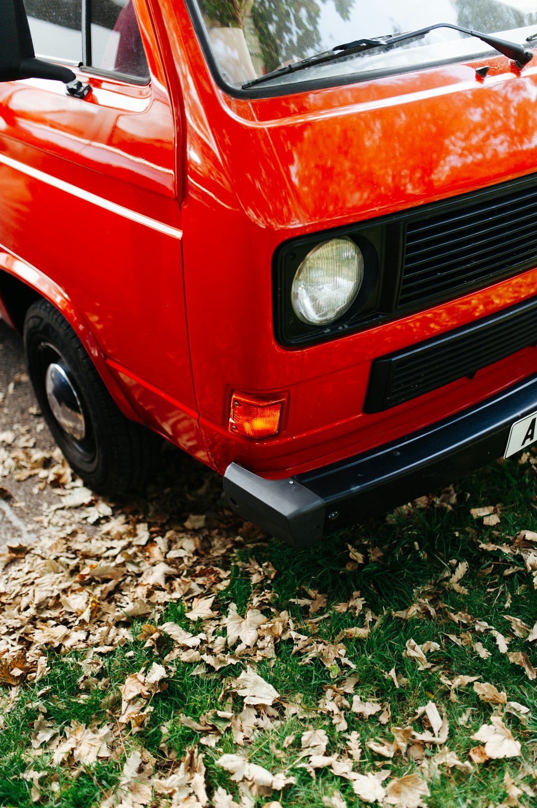 red car on green grass during daytime