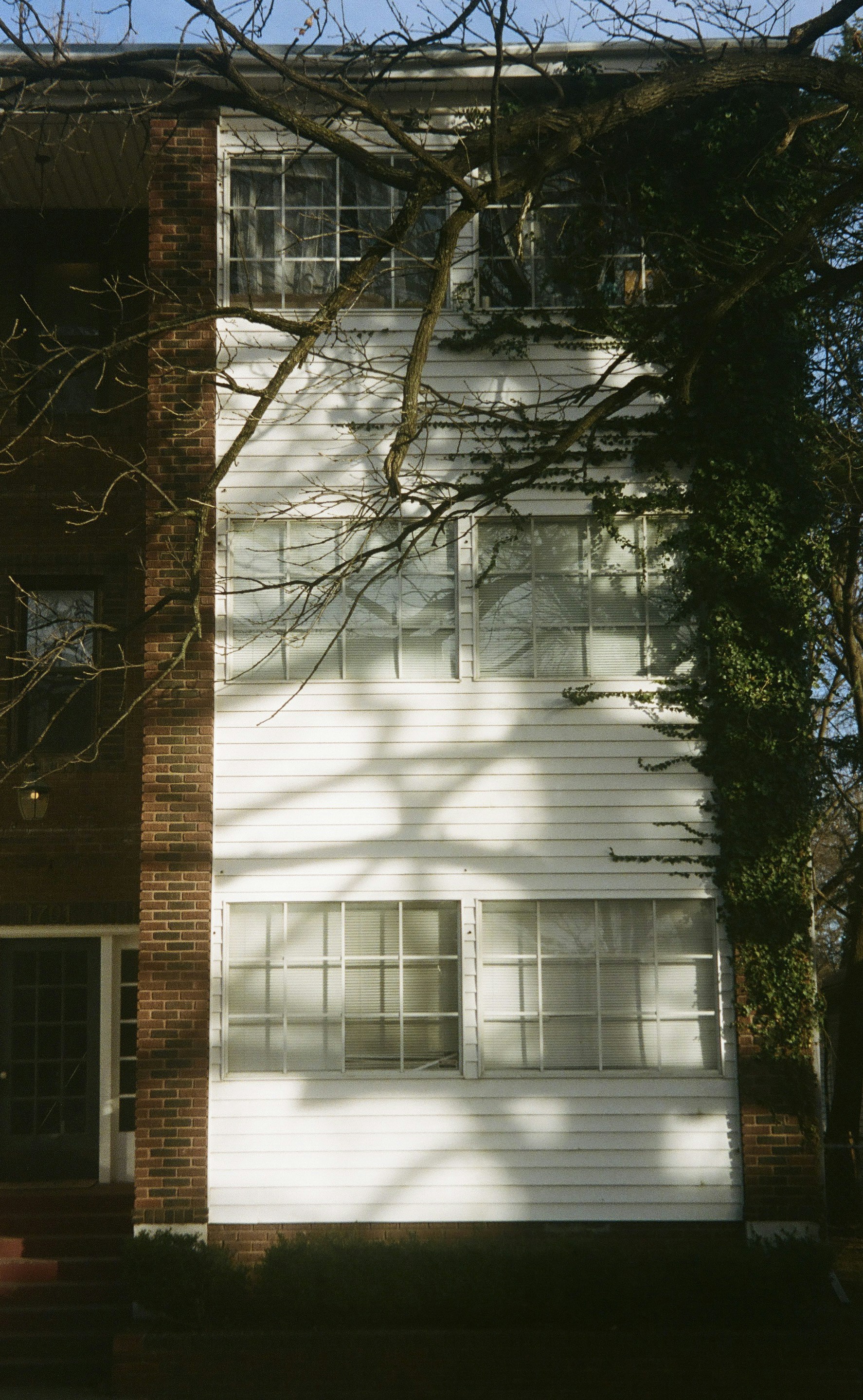 Photo by lowmurmer