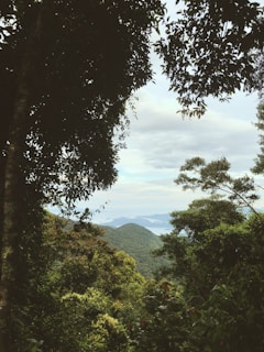Balcony view framed by forest green foliage and distant mountain ridges.