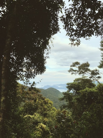 Balcony view framed by forest green foliage and distant mountain ridges.