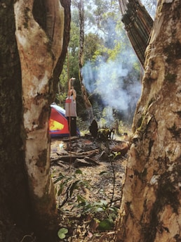 A camping scene in a forest with sunlight filtering through the trees. A person is standing near a campfire with smoke rising, tending to a stick. A red and blue tent is visible in the background, surrounded by trees and foliage.