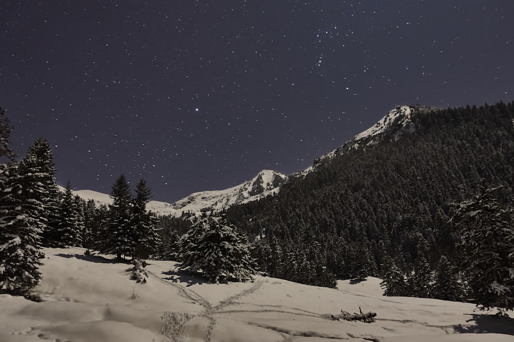 snow covered mountain during night time