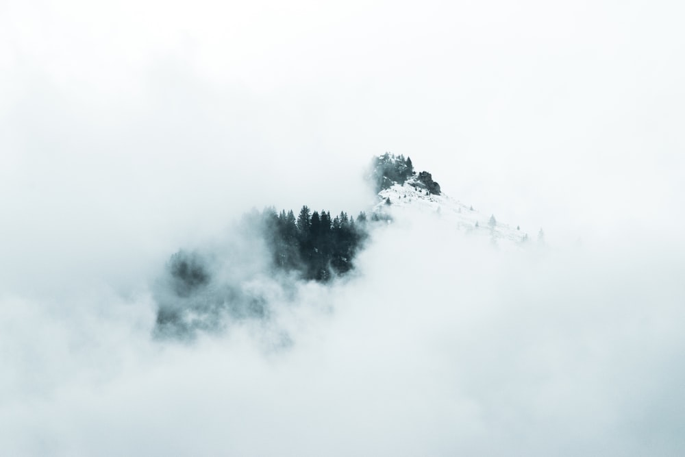 green trees under white clouds