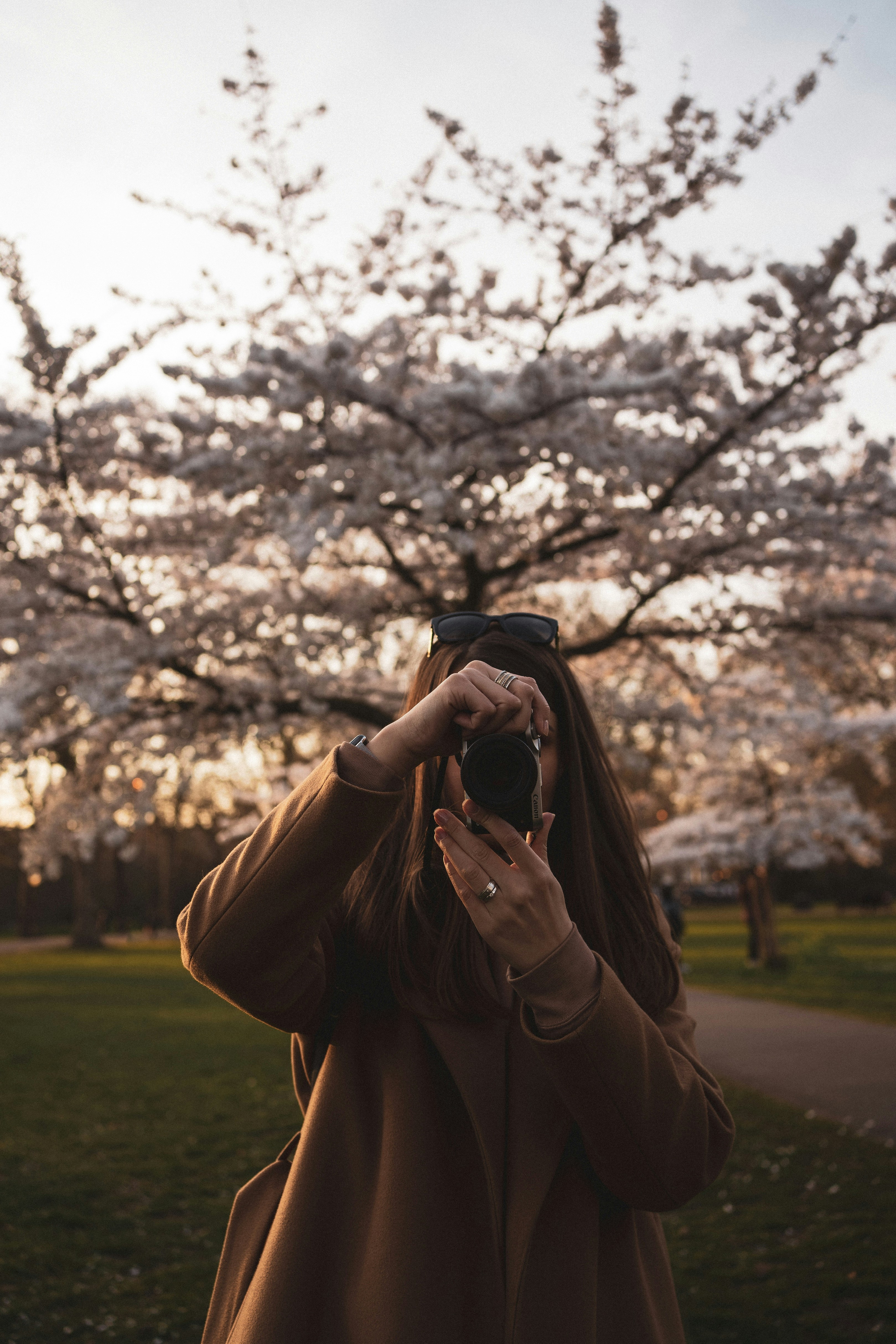 Photo by kvtedavies