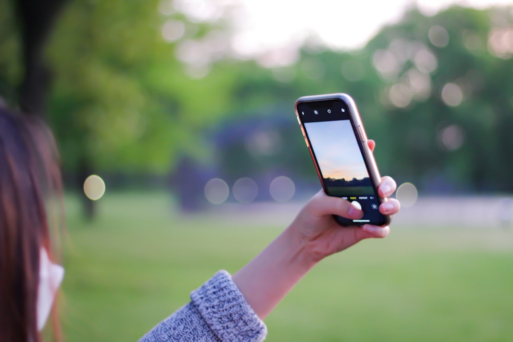 person holding iphone 6 taking photo of green trees during daytime