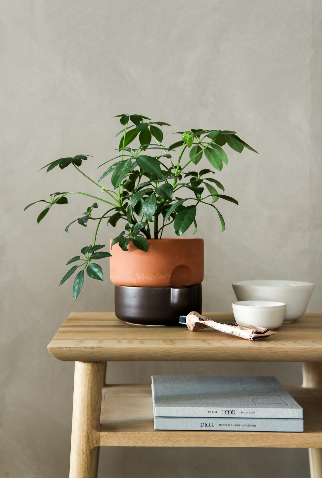 green plant on brown wooden table