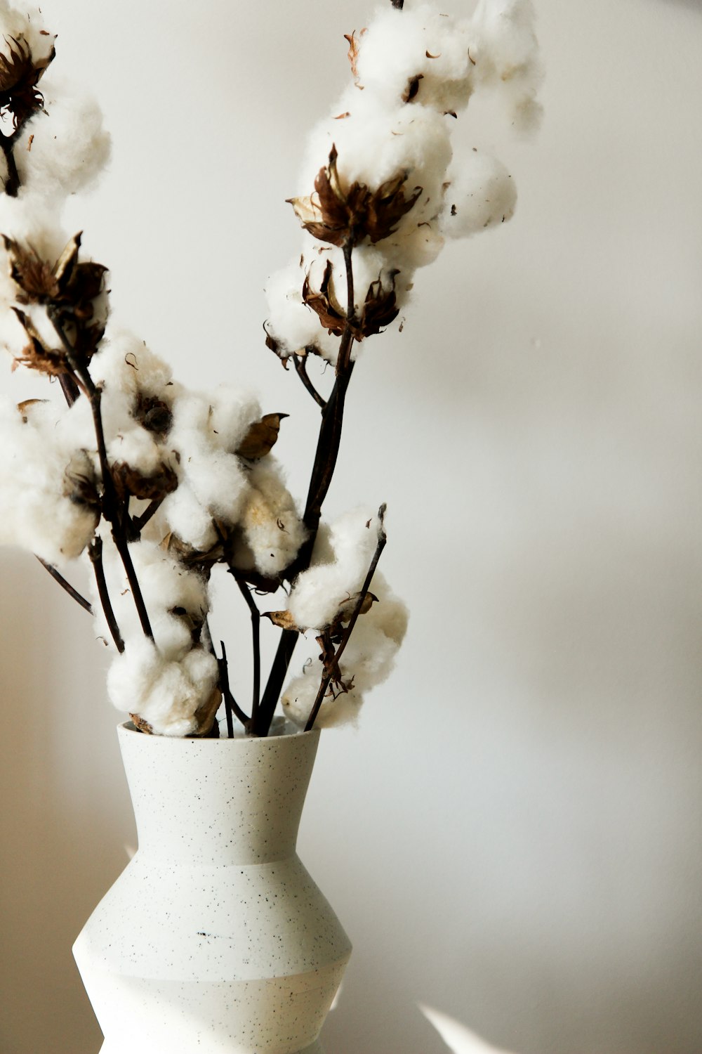 white flowers in white ceramic vase