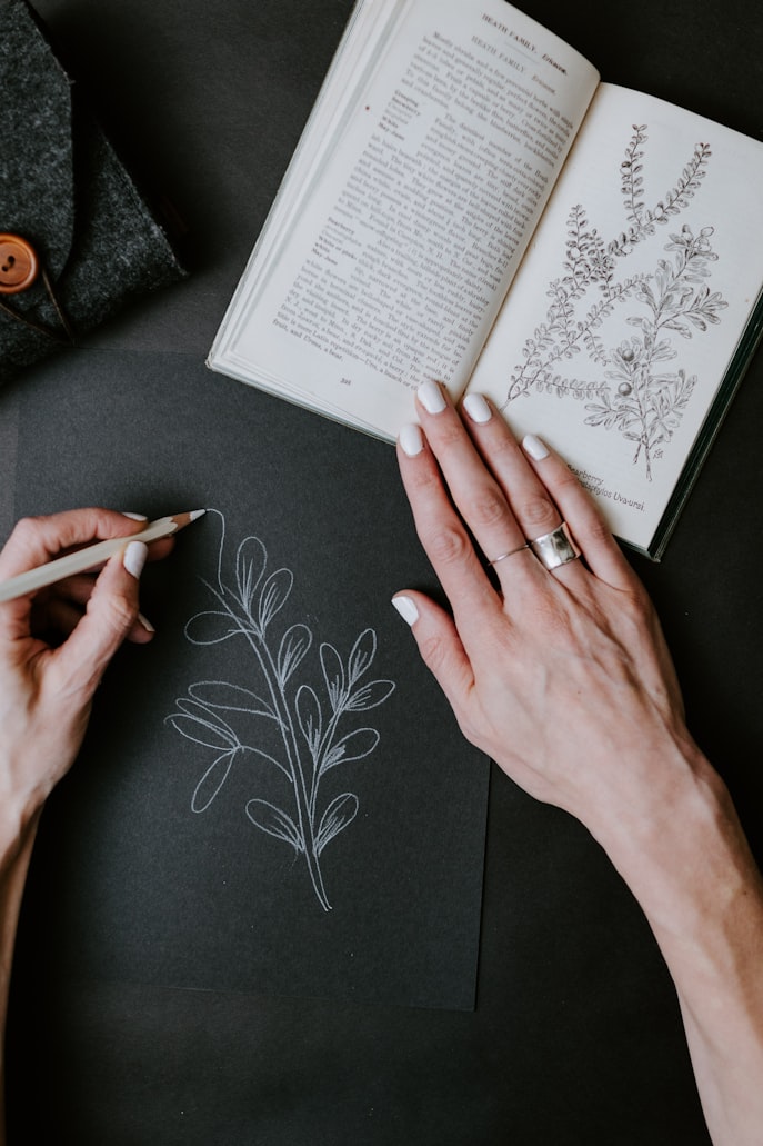 Botanical drawing ideas for beginners - photo by Kelly Sikkema via unsplash.com