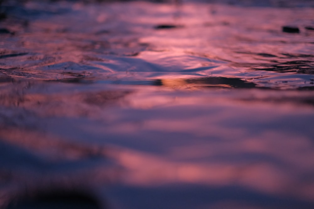 Gota de agua en la fotografía de primer plano