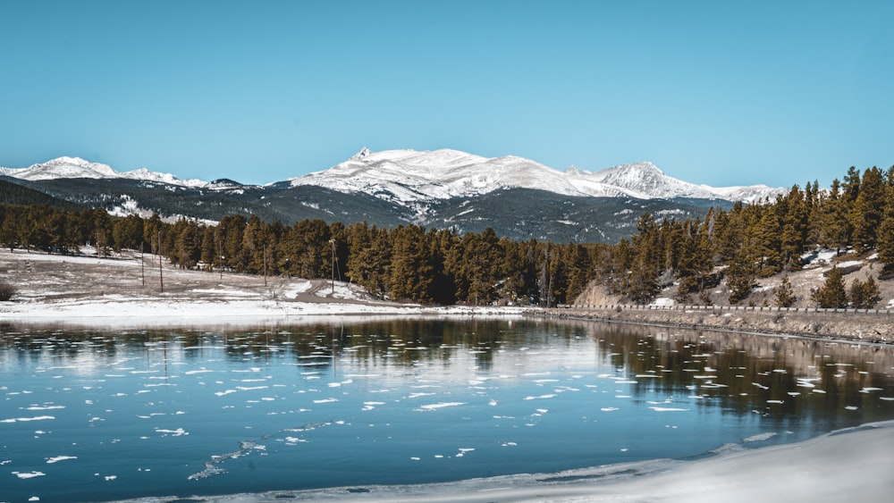 green trees near lake and snow covered mountain during daytime