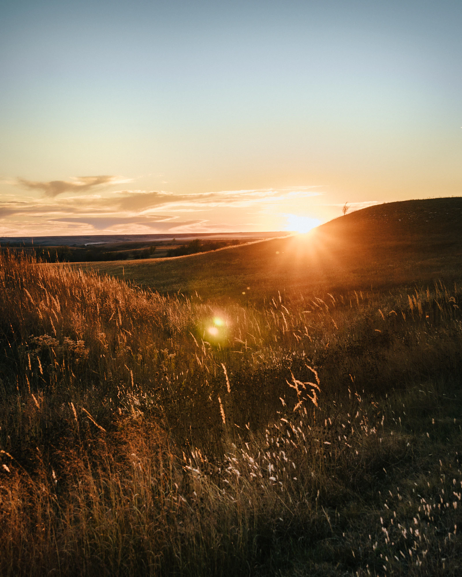 Sunset over golden grasslands in central Kansas
