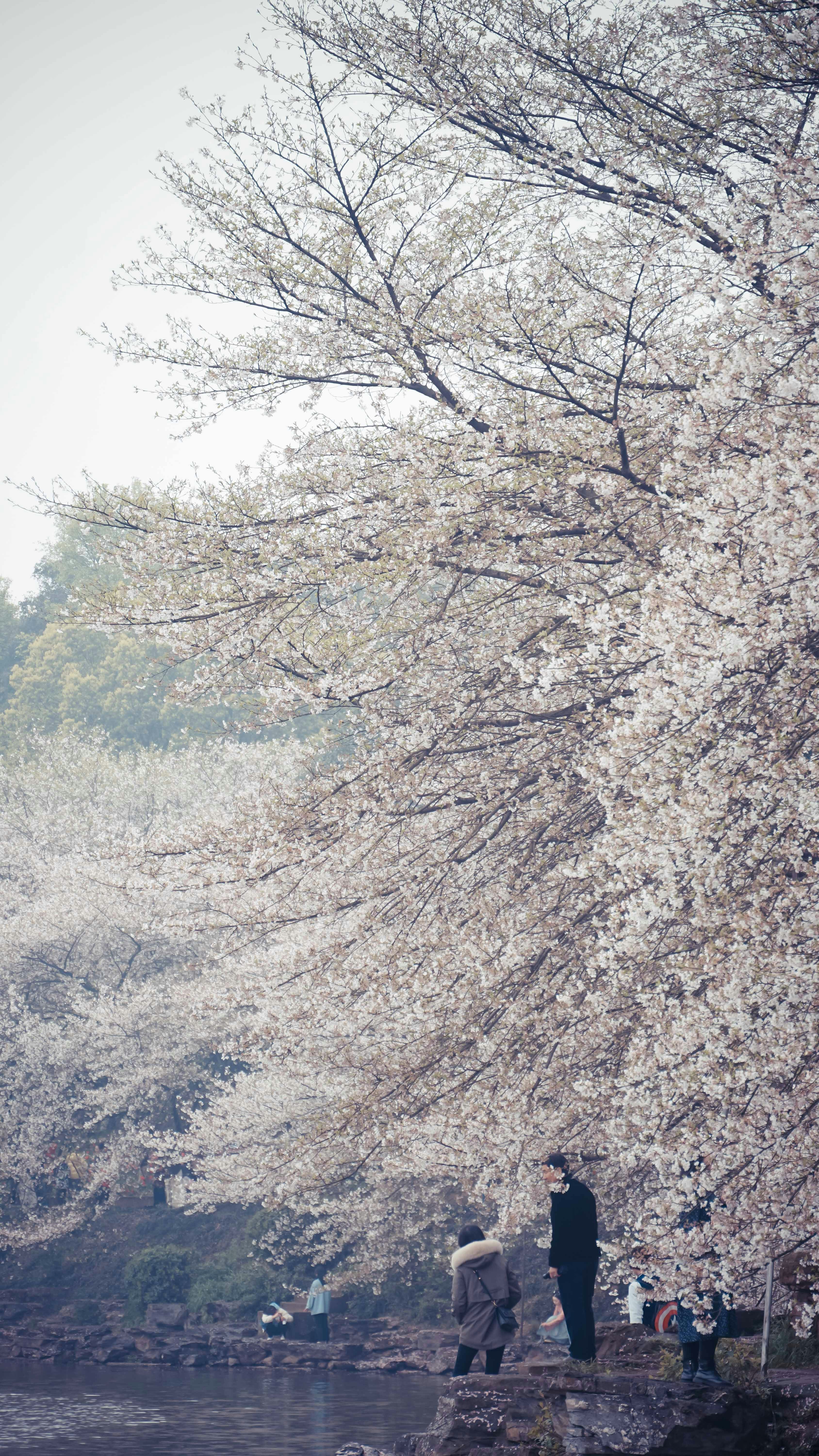 Photo by jenkin_t