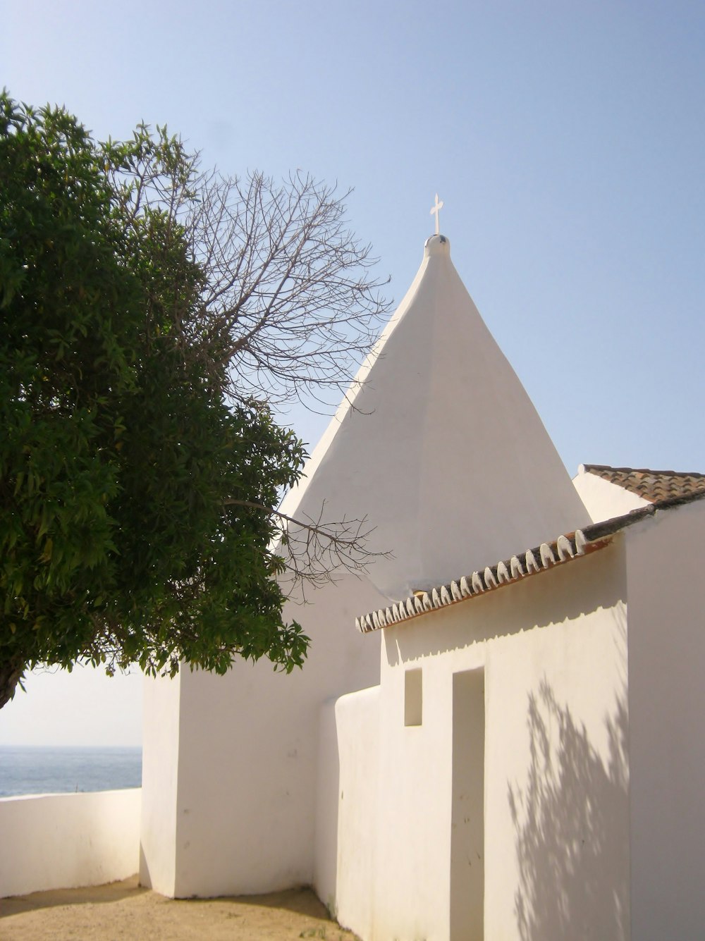 green tree beside white concrete building