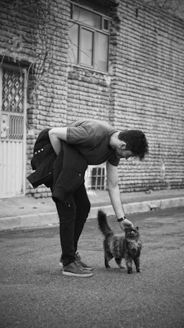 A person bends down to pet a fluffy cat on a street with a brick wall and a barred window in the background. The scene exudes a sense of calm and connection between the person and the animal.