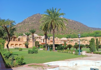 A scenic landscape with a large, manicured garden filled with palm trees and other lush greenery. An ornate, historic building with traditional architecture is set against a backdrop of a large, hilly terrain. The sky is clear and blue, enhancing the bright and serene atmosphere.