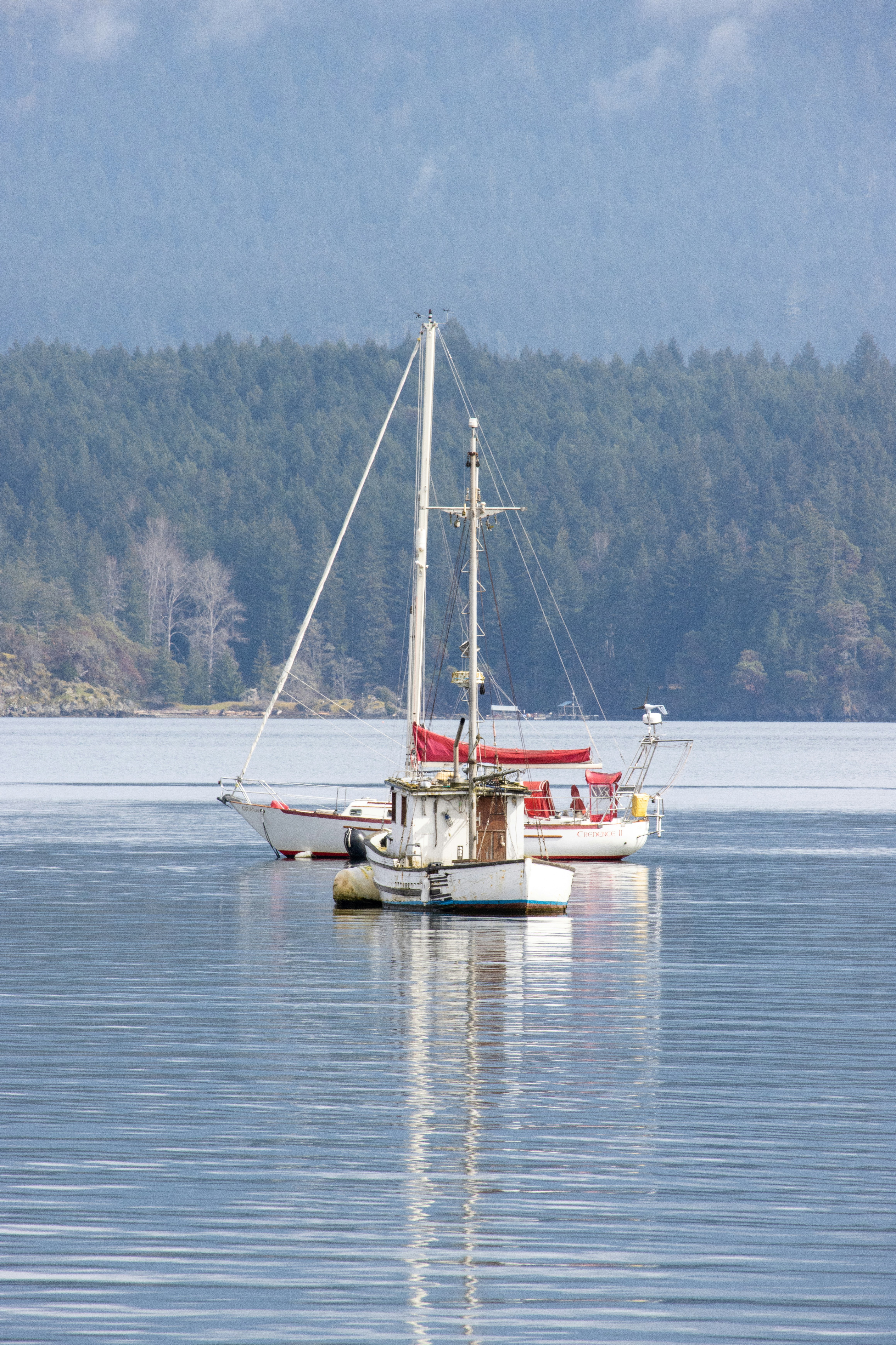 Photo by izzyatthelookout