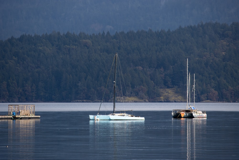 white and blue sail boat on body of water during daytime