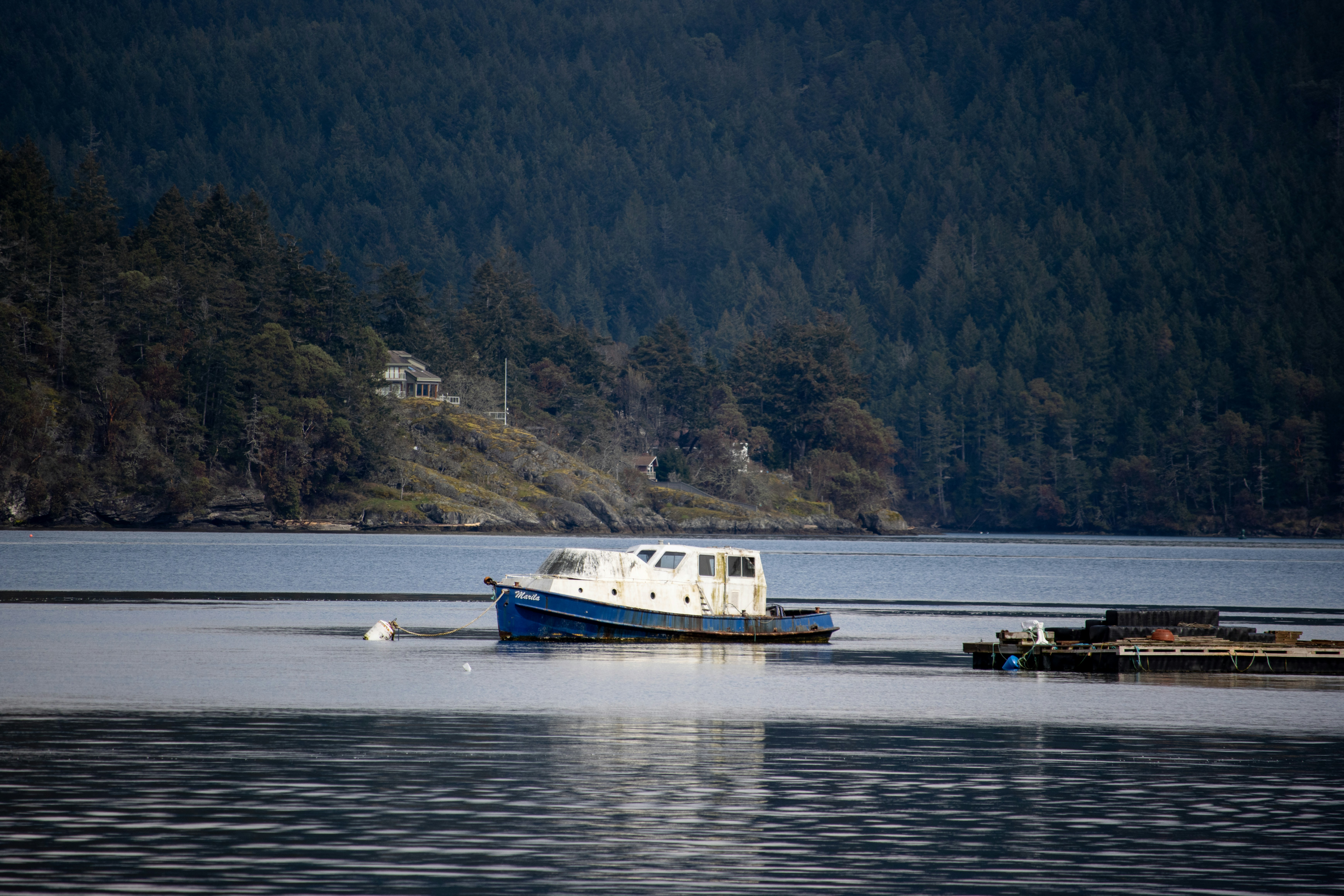 Photo by izzyatthelookout