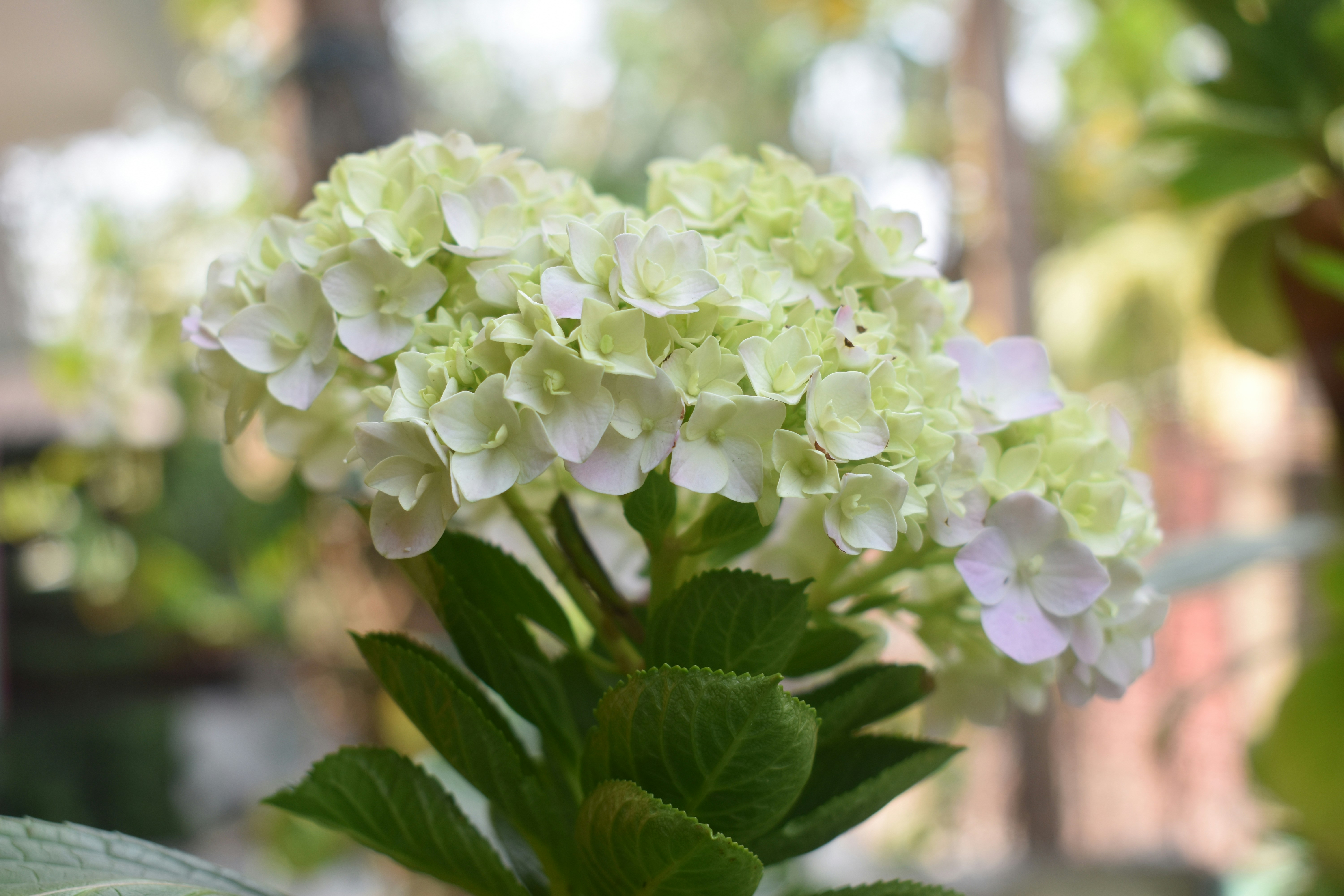 Photo by ayushman_baruah