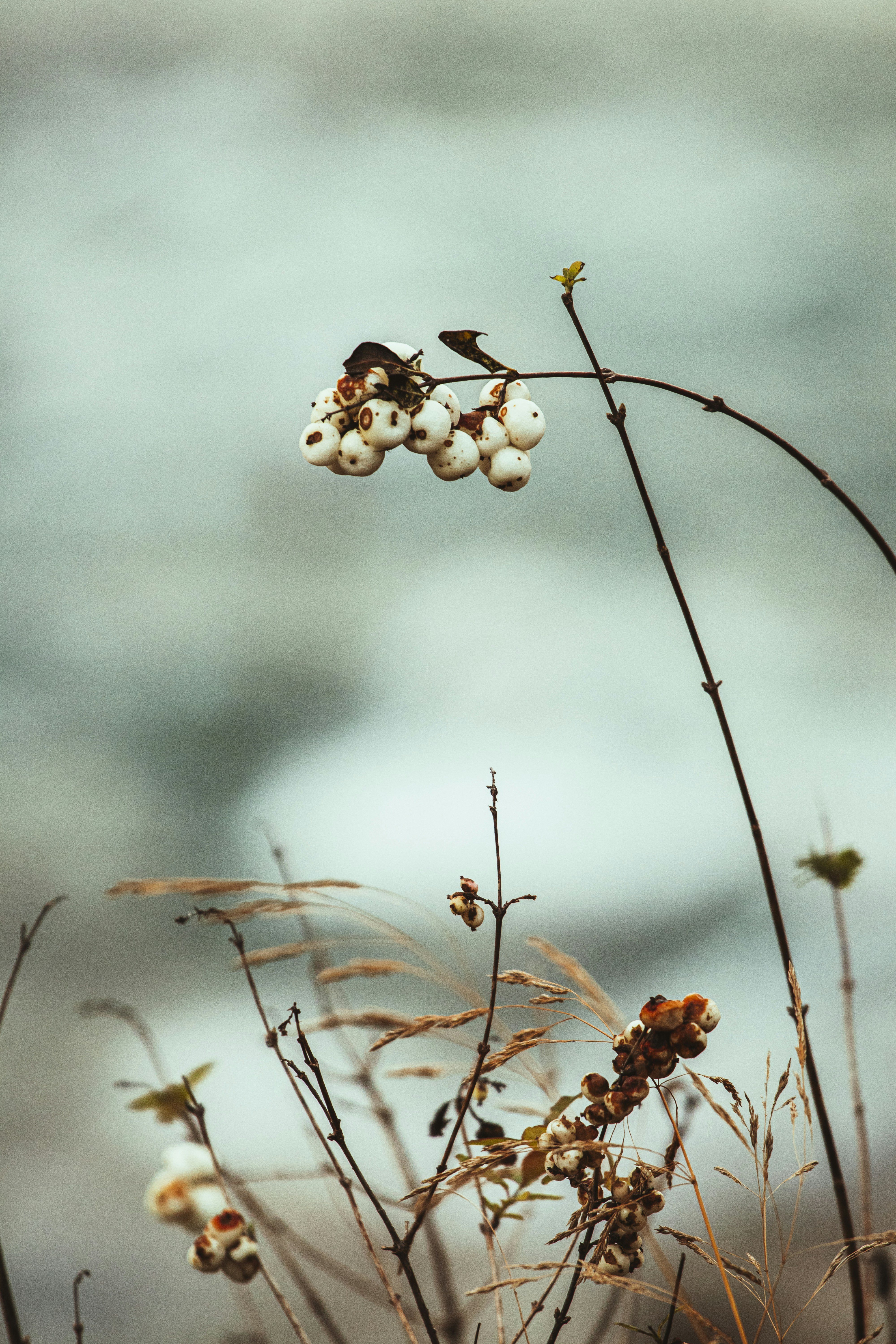 Photo by hiccupfromberk