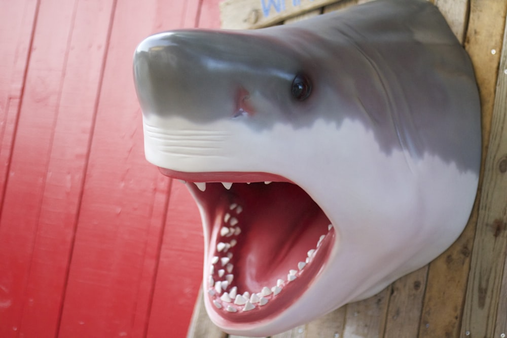 Tiburón blanco sobre superficie de madera roja