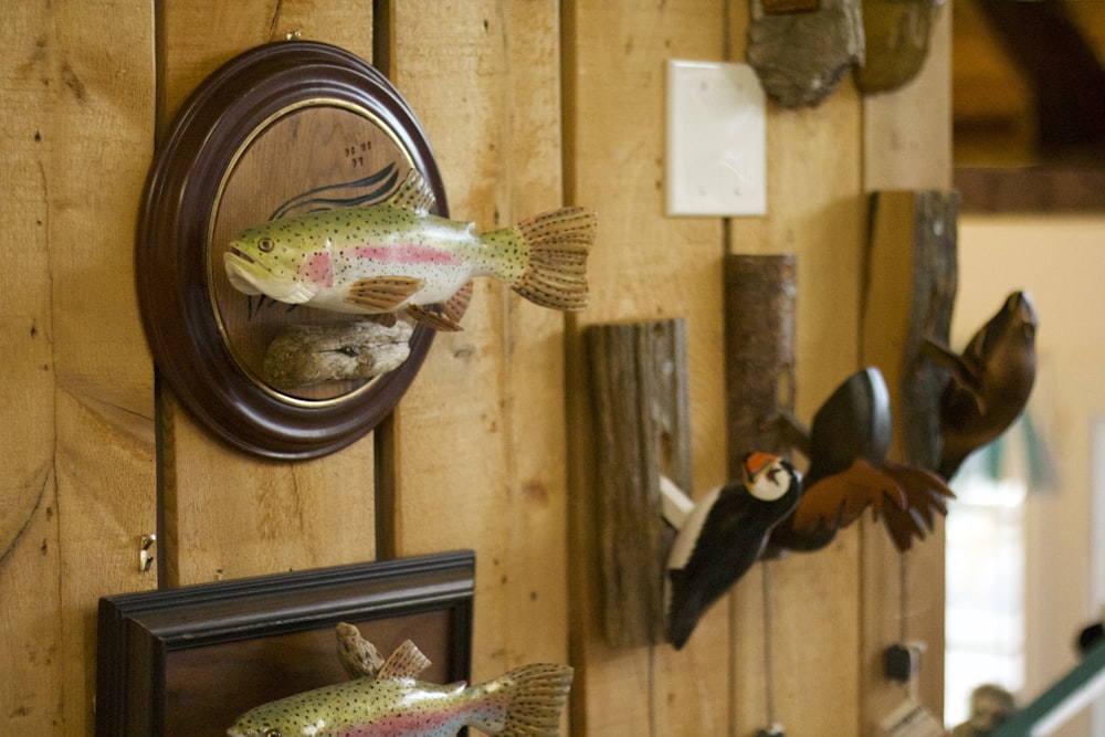 silver and red fish on brown wooden shelf