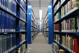 A calm, welcoming office space with educational tools and books arranged neatly.