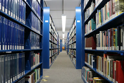 A quiet library corner with shelves of academic journals and policy documents neatly arranged.