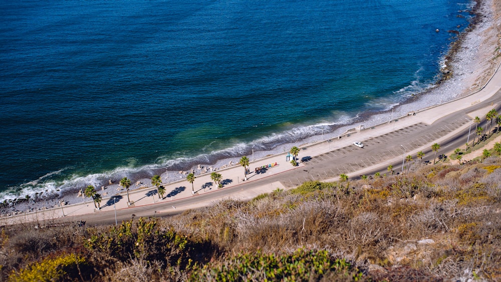 people on beach during daytime