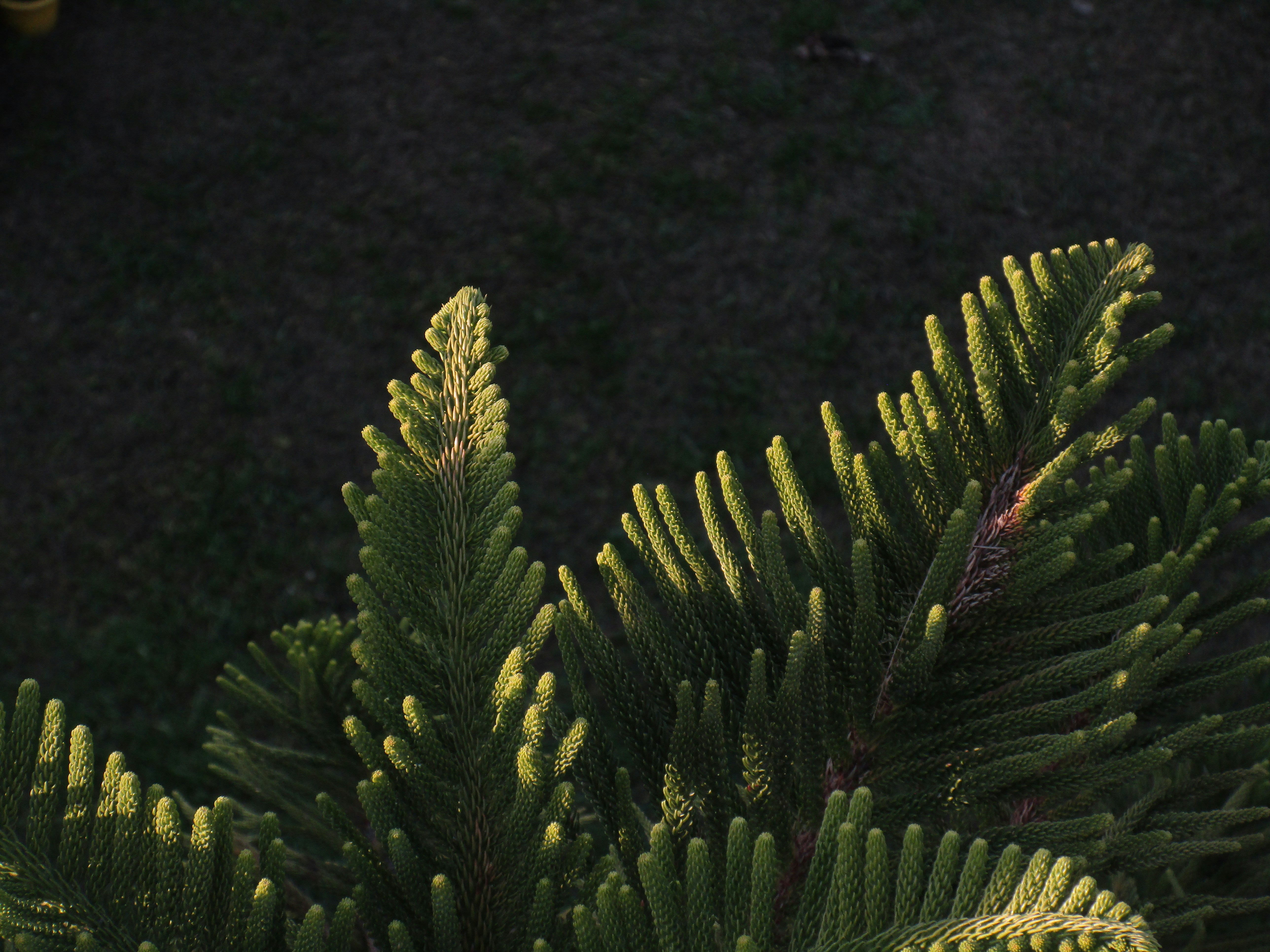 Photo by gagangulyani