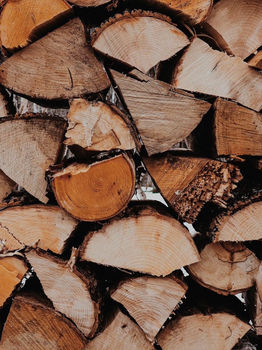 brown wood logs in close up photography