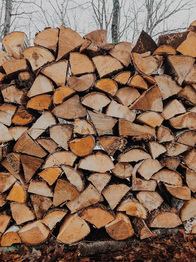 Stack of tree branches and yard waste ready for haul-off