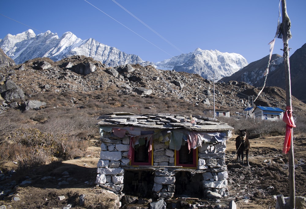 white and brown house on brown field near snow covered mountains during daytime