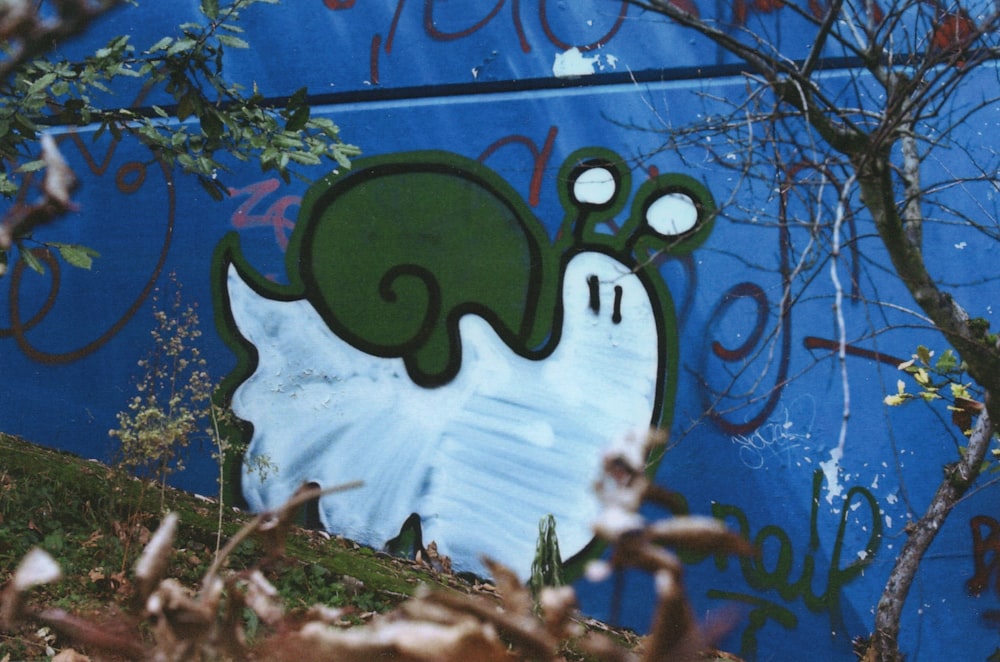 parede pintada azul e branca com planta branca e verde