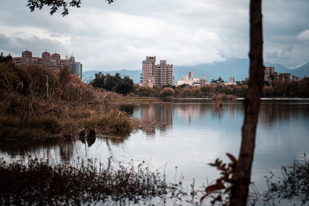 body of water near city buildings during daytime