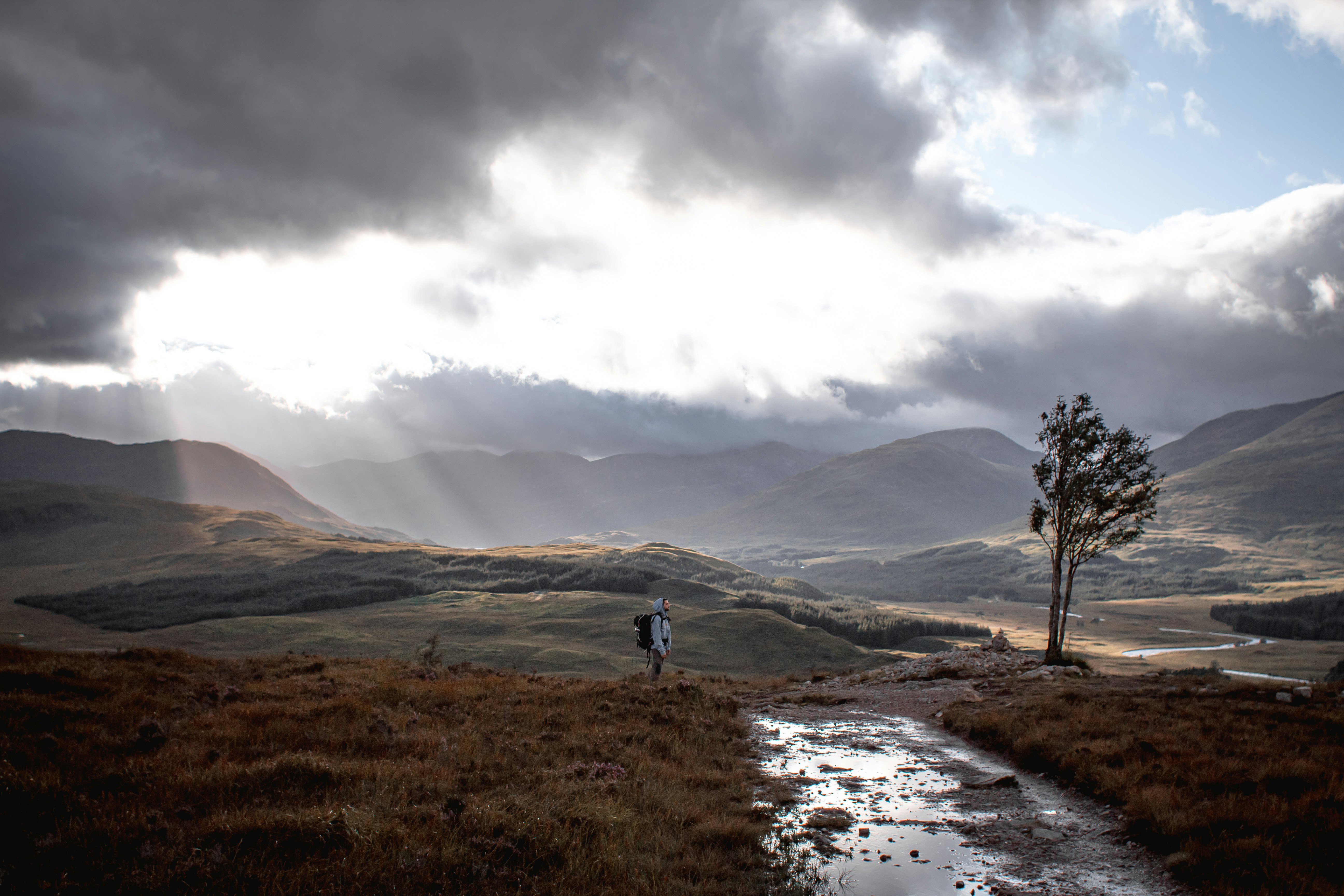 person standing on brown grass field near green tree during daytime, When heaven opens up his gates right but the tree still looks more interesting.</p><p>Shot on Canon EOS 1300D w/ 50mm f1.8