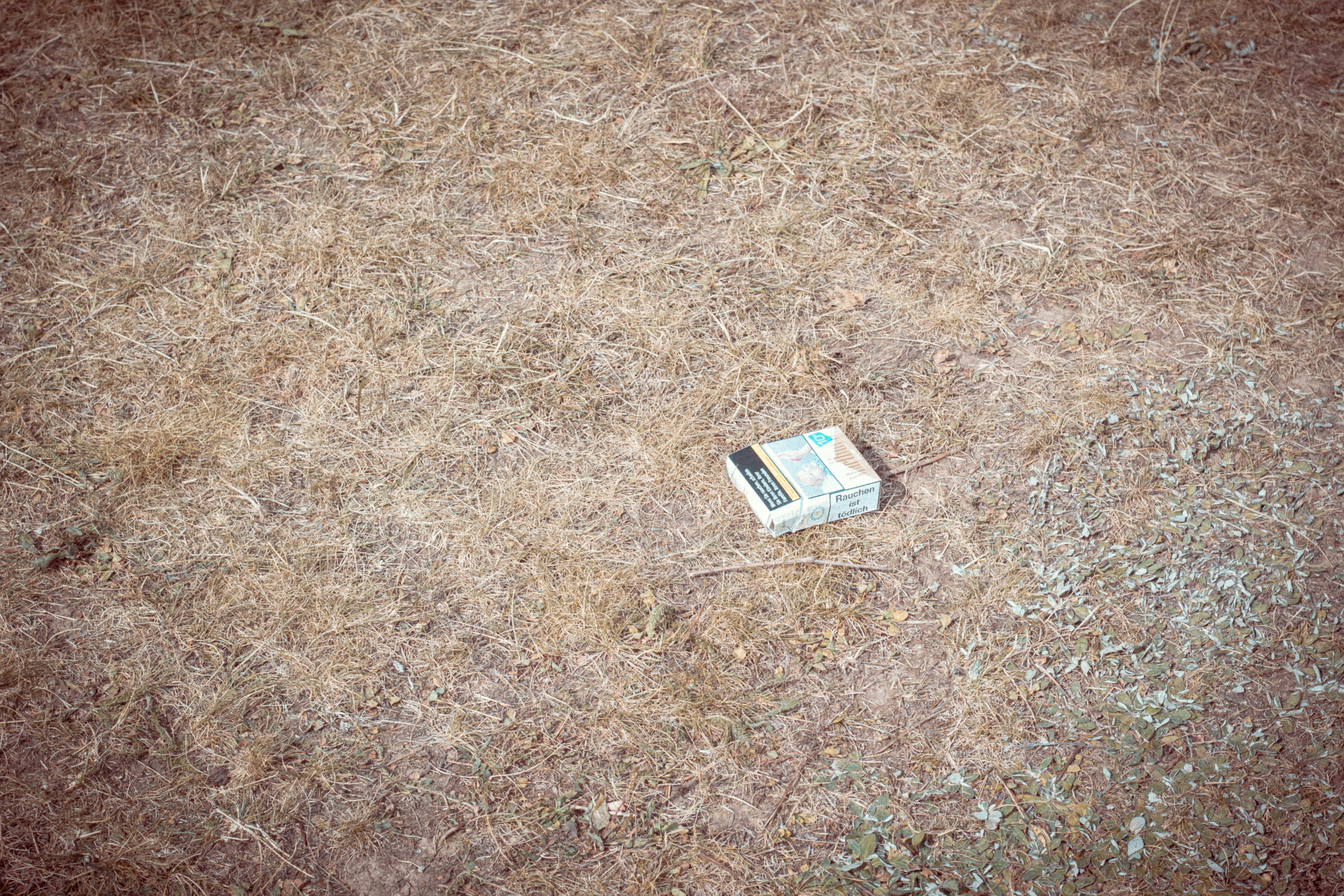 white and brown labeled box on brown grass