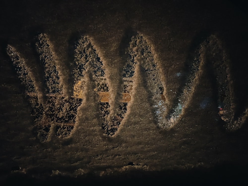 a close up of the word wild written in snow