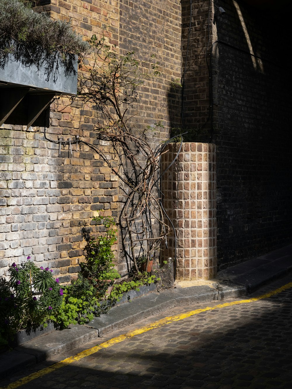 gray concrete road between brown brick wall