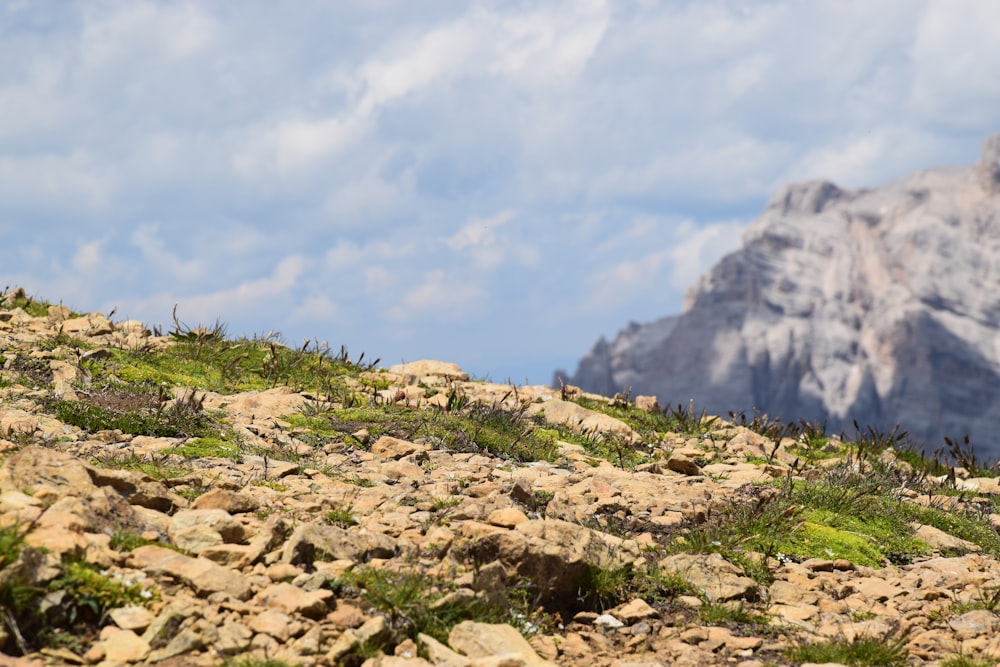 green grass on rocky mountain during daytime