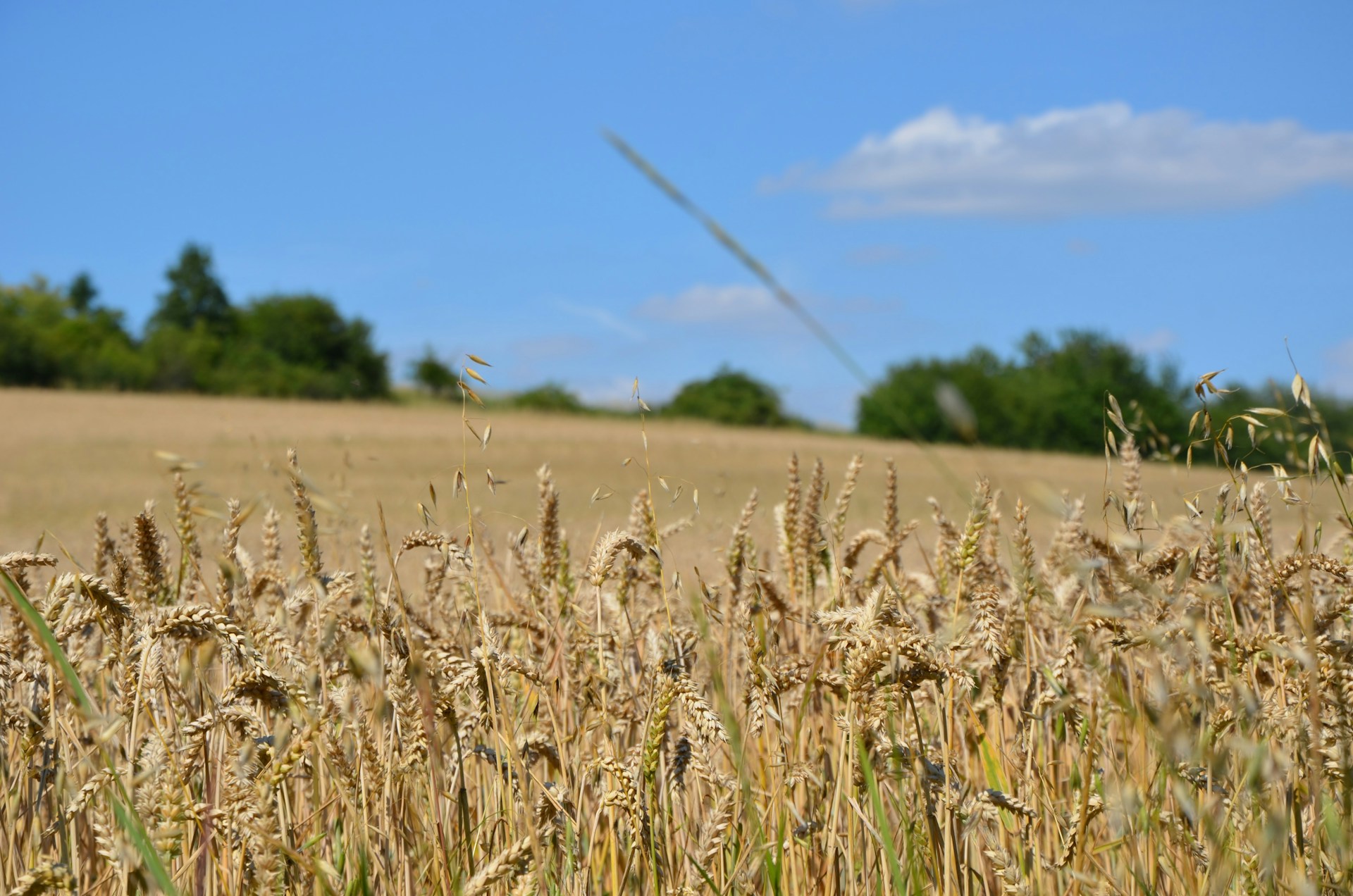 gray computer monitor