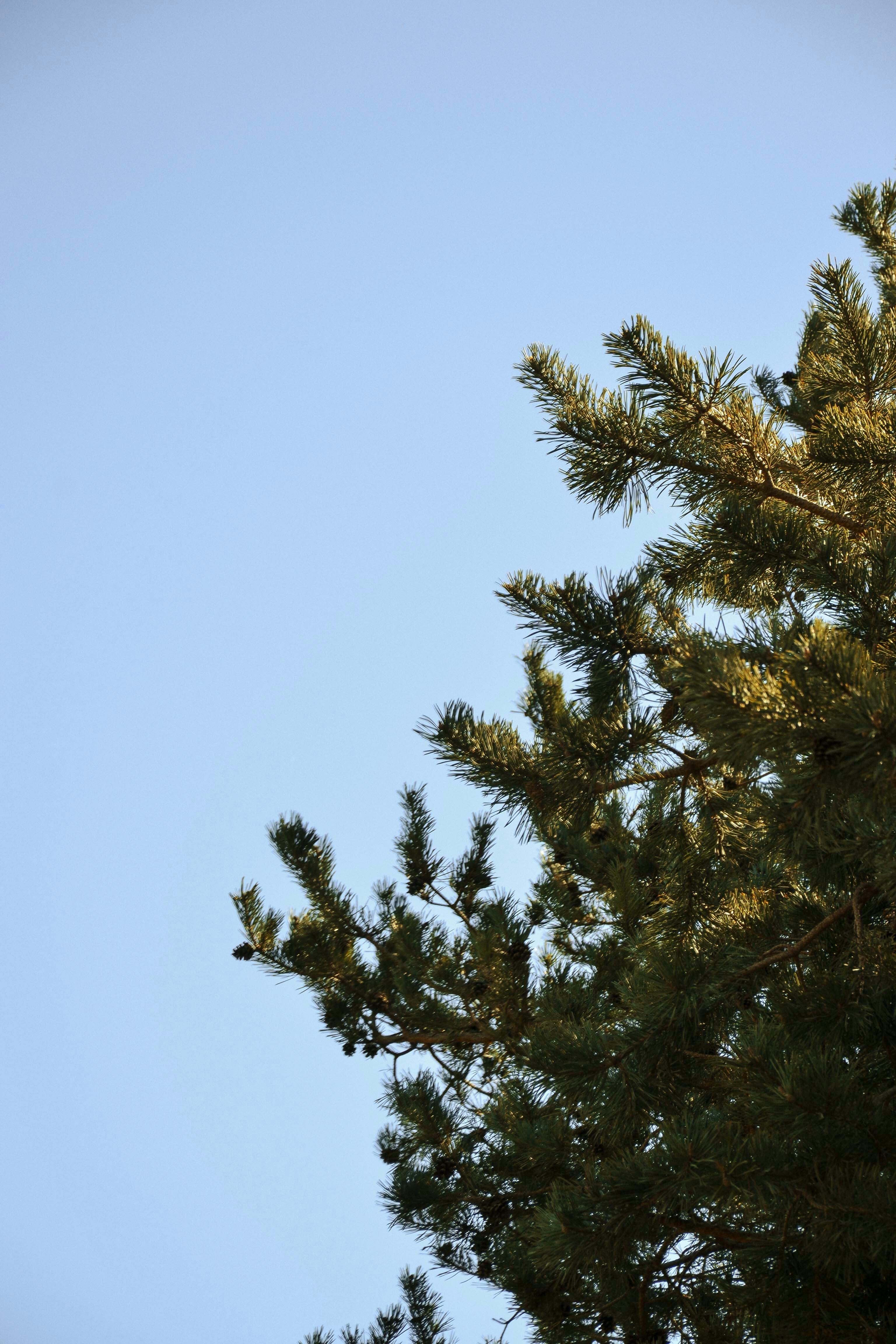 Photo by sergidolcet