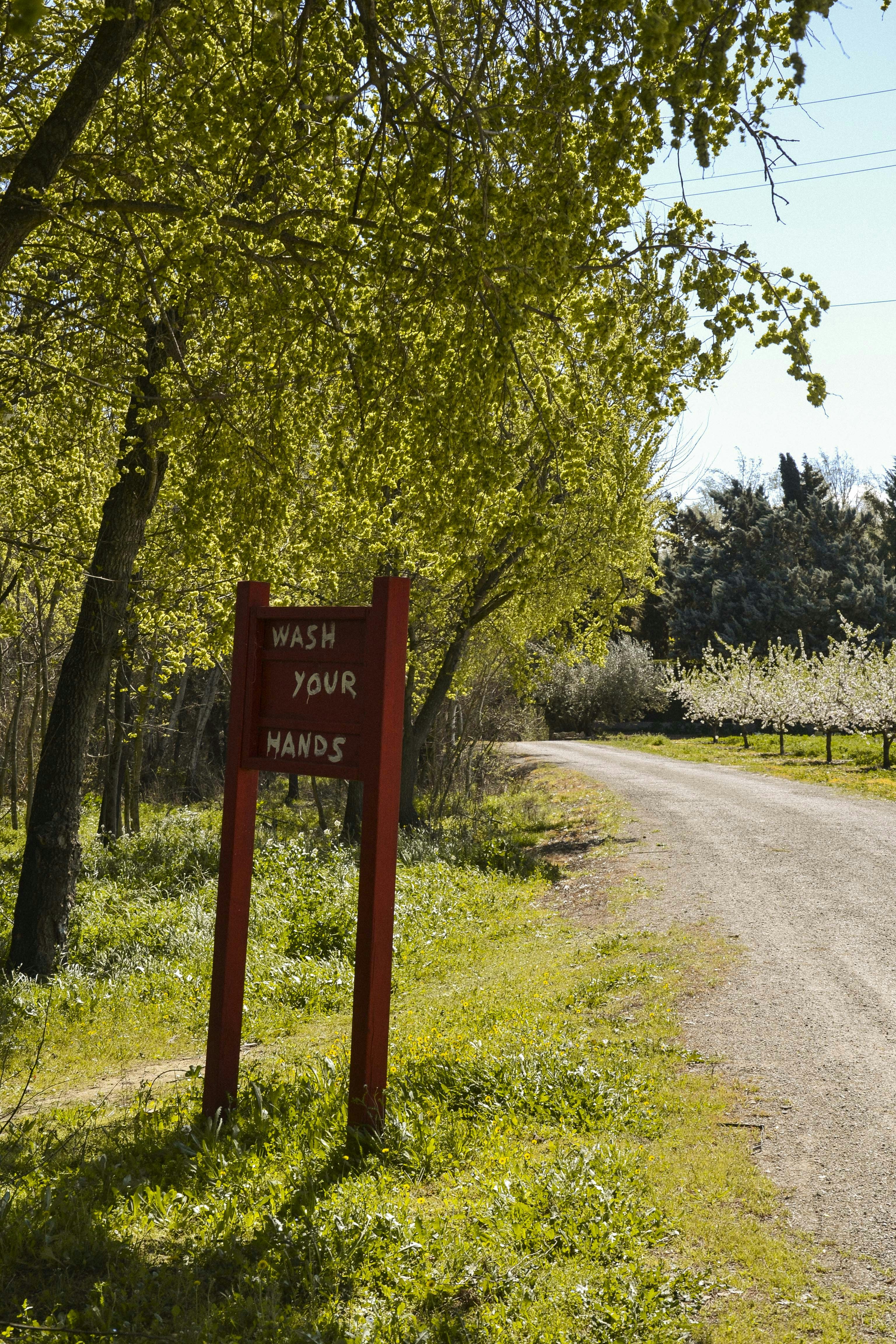 Yorba Regional Park photo 3