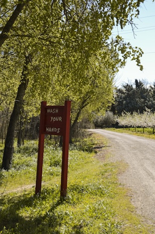 A man washing his hands outdoors, surrounded by fresh forest greenery, using Gentle Grizzly soap.