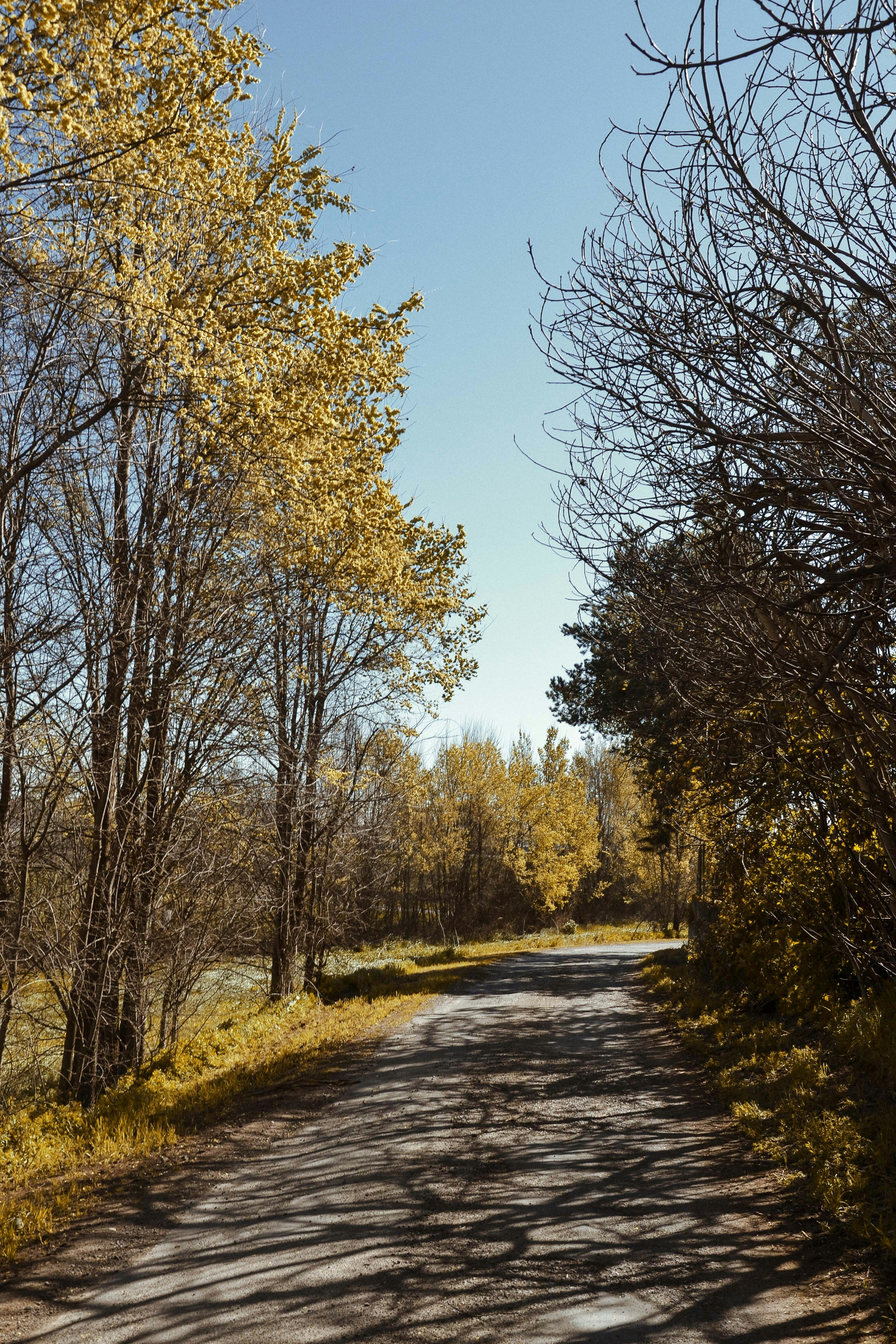 Photo by sergidolcet