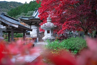 Affordable Study in Japan