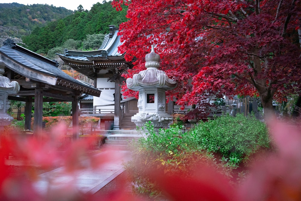 red leaf trees near white concrete building during daytime