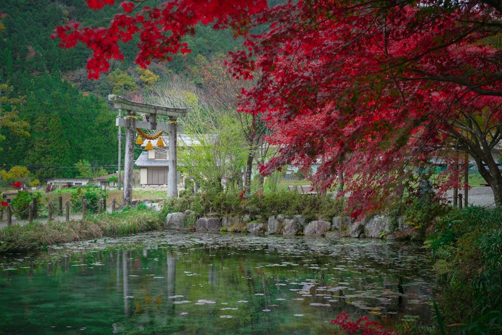 水域のそばの赤と緑の木々