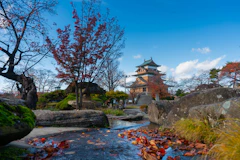 brown and white house near river under blue sky during daytime