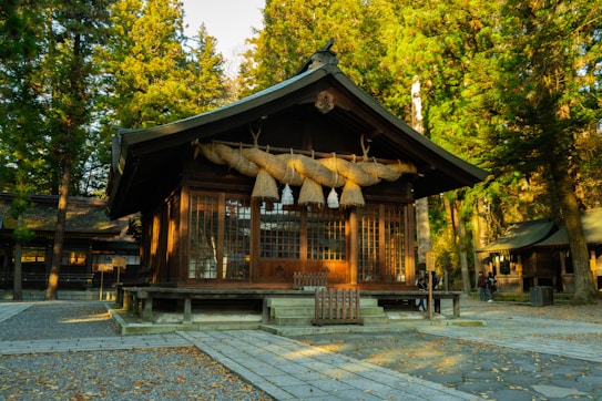 A traditional wooden Japanese shrine with large straw ropes hanging above the entrance, situated in a forested area. The sunlight filters through the dense trees, casting a warm glow on the shrine and creating a serene ambiance. The path leading to the shrine is covered with scattered leaves, enhancing the natural and peaceful setting.